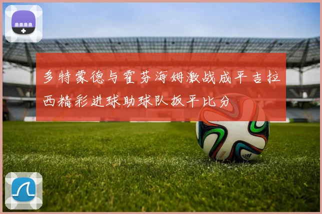 多特蒙德与霍芬海姆激战成平吉拉西精彩进球助球队扳平比分